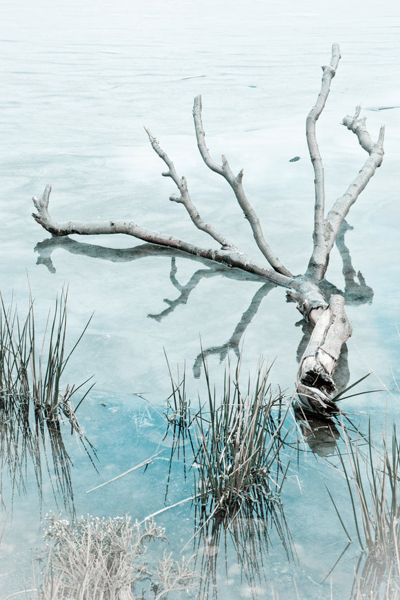 LDS0055 - On Frozen Pond