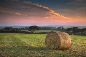 LDS0078 - Haybale Sunrise, Cornwall
