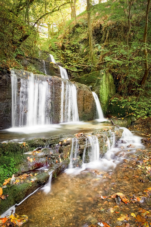 A Waterfall of Autumn Colour