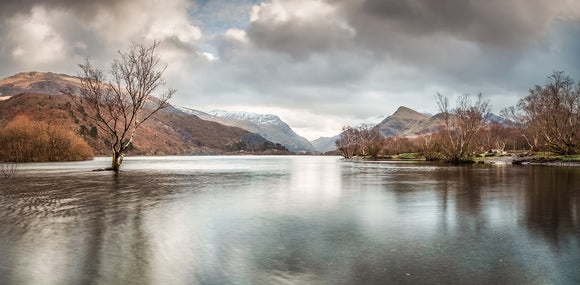 Llyn Padarn & The Lone Tree - Panorama