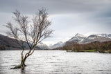 Llyn Padarn Winter View