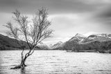 Llyn Padarn Winter View B&W